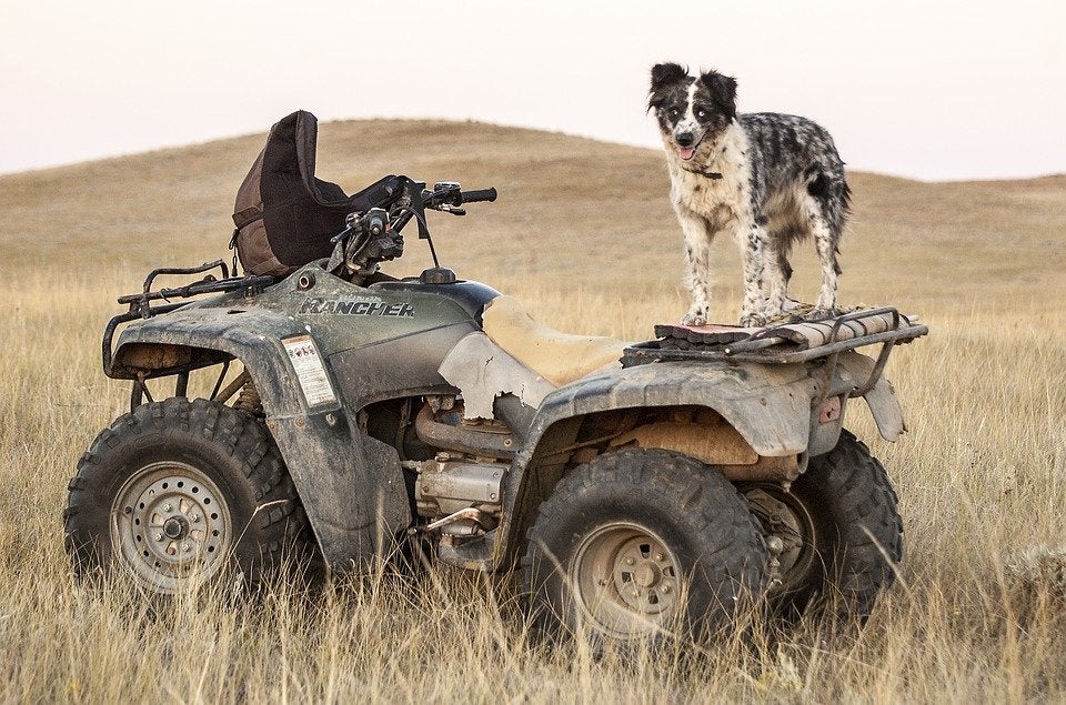 cómo comprar un buen ATV