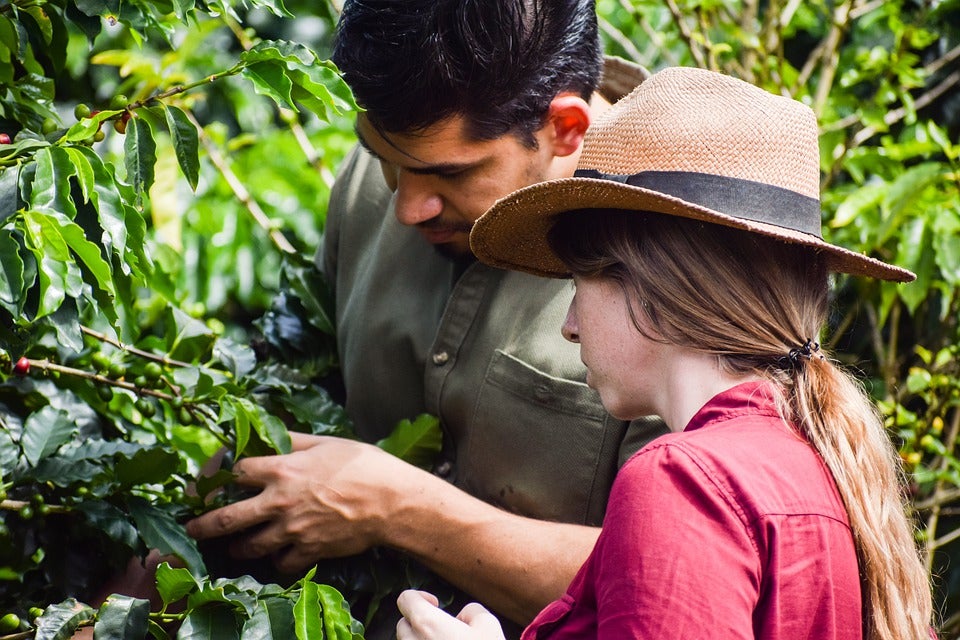 Café Kona de Hawaii