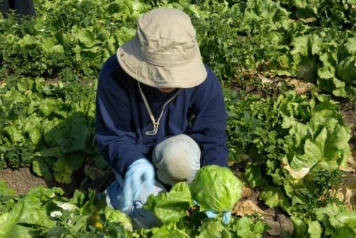 Ley para comidas y descansos laborales en California