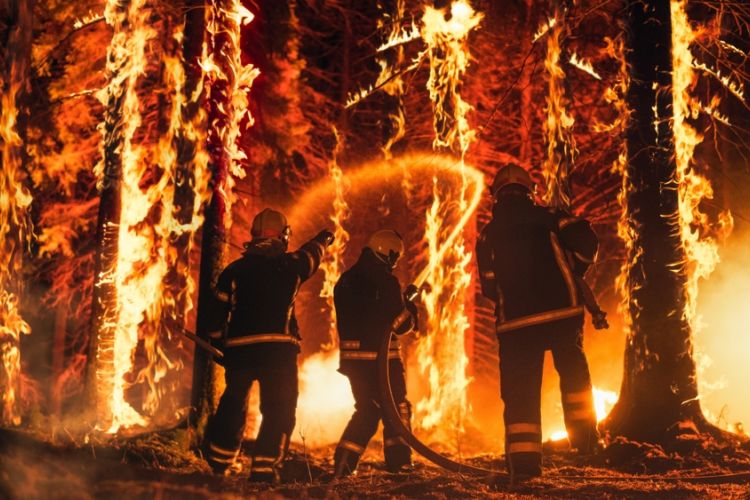 incendios forestales de California