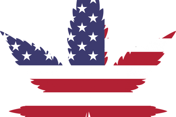 Cambios en las leyes de Marihuana
