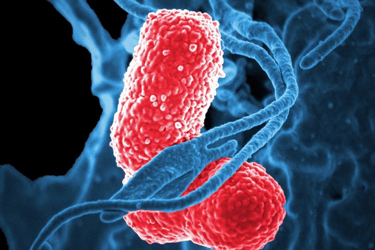 riesgo de enfermedades pulmonares