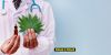 Acceso al Cannabis Medicinal en Texas