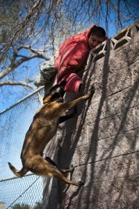 responsable cuando un perro ataca